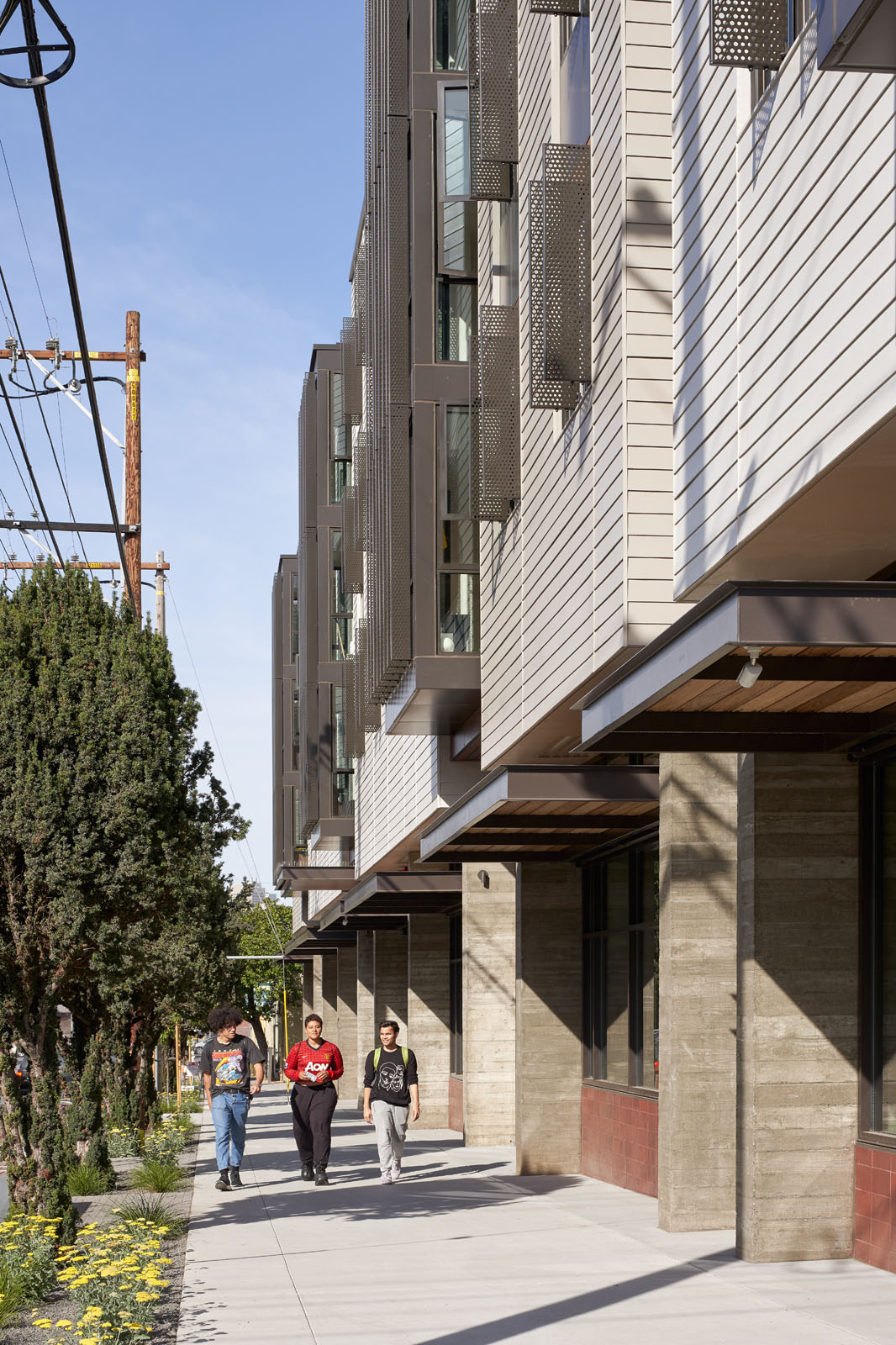 View at sidewalk level between tree lined street and building facade