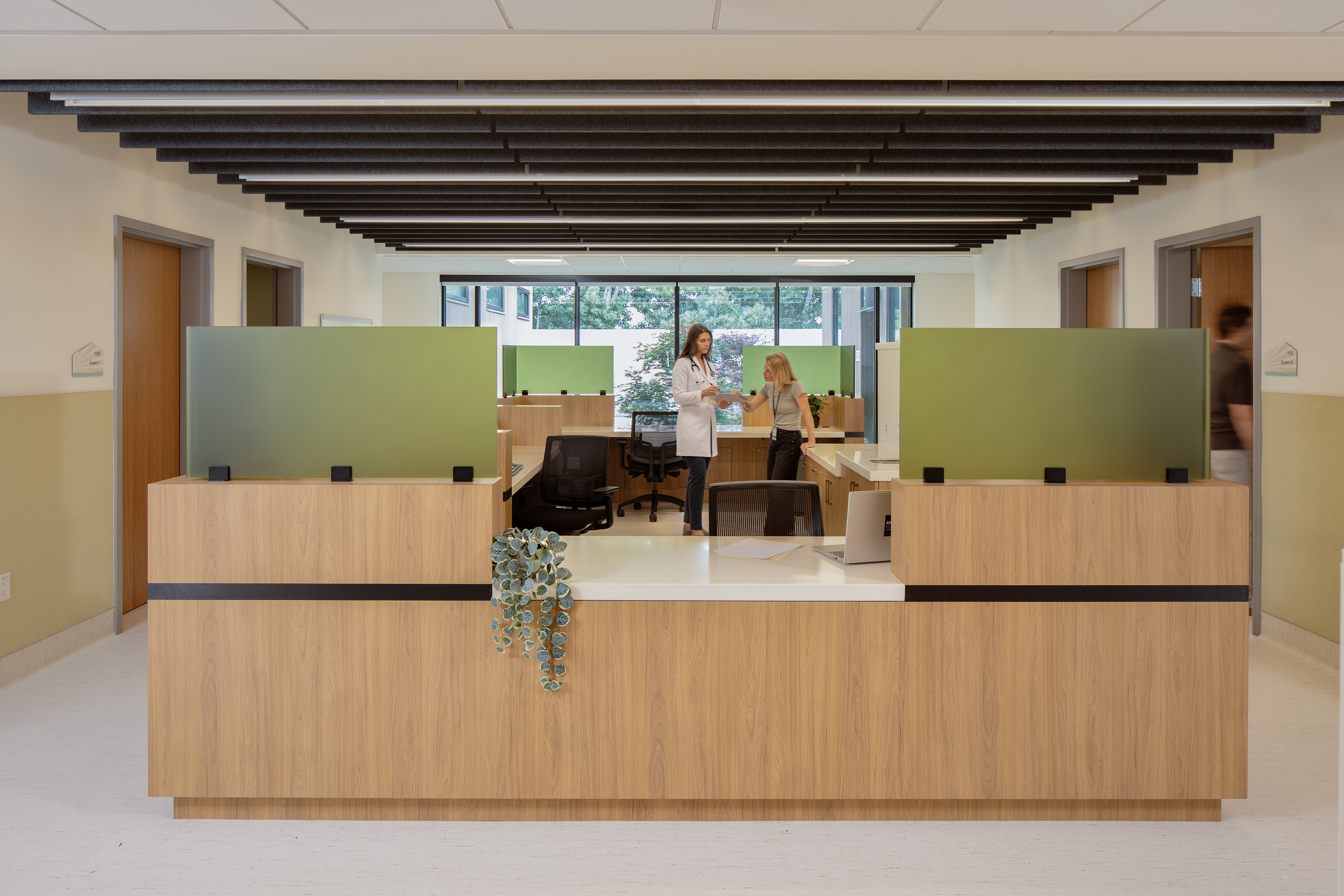 A wood-paneled reception area with frosted green glass privacy panels, flanked by exam room doors on either side. Behind the counter, a person in a white coat hands paperwork to a colleague near a window, with more workstations visible behind them. A slatted black acoustic ceiling spans overhead.
