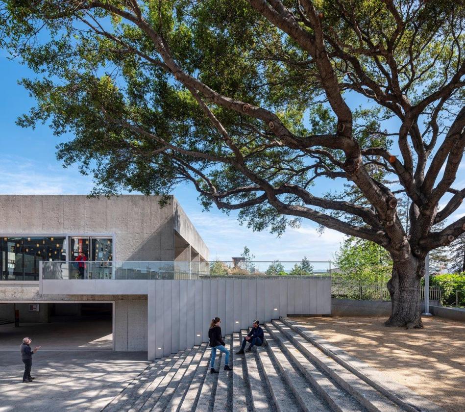 Museum exterior of steps and tree with people sitting on steps.