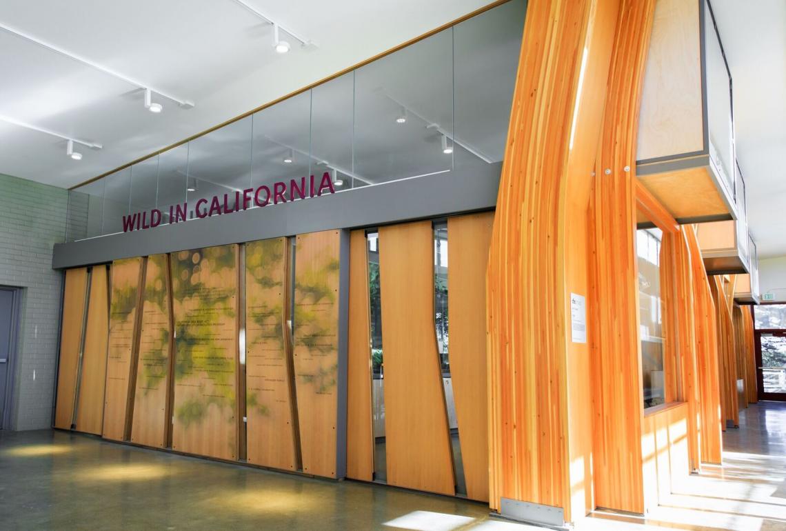 Interior view of exhibit space walls articulated with wood panels cut with angled window slats