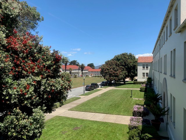 View of lawn from private office