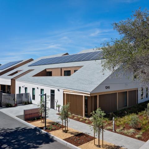 Aerial view of a single-story building with a steep, multi-gabled roof covered in solar panels, marked with the address 1245. The facade mixes white panels, vertical wood slat screens, and brown metal siding. A landscaped walkway lined with young trees and native plants leads to a decorative perforated metal gate, with a mature oak tree at right.