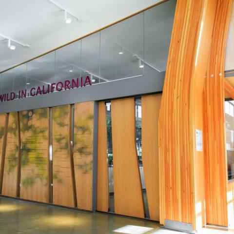 Interior view of exhibit space walls articulated with wood panels cut with angled window slats